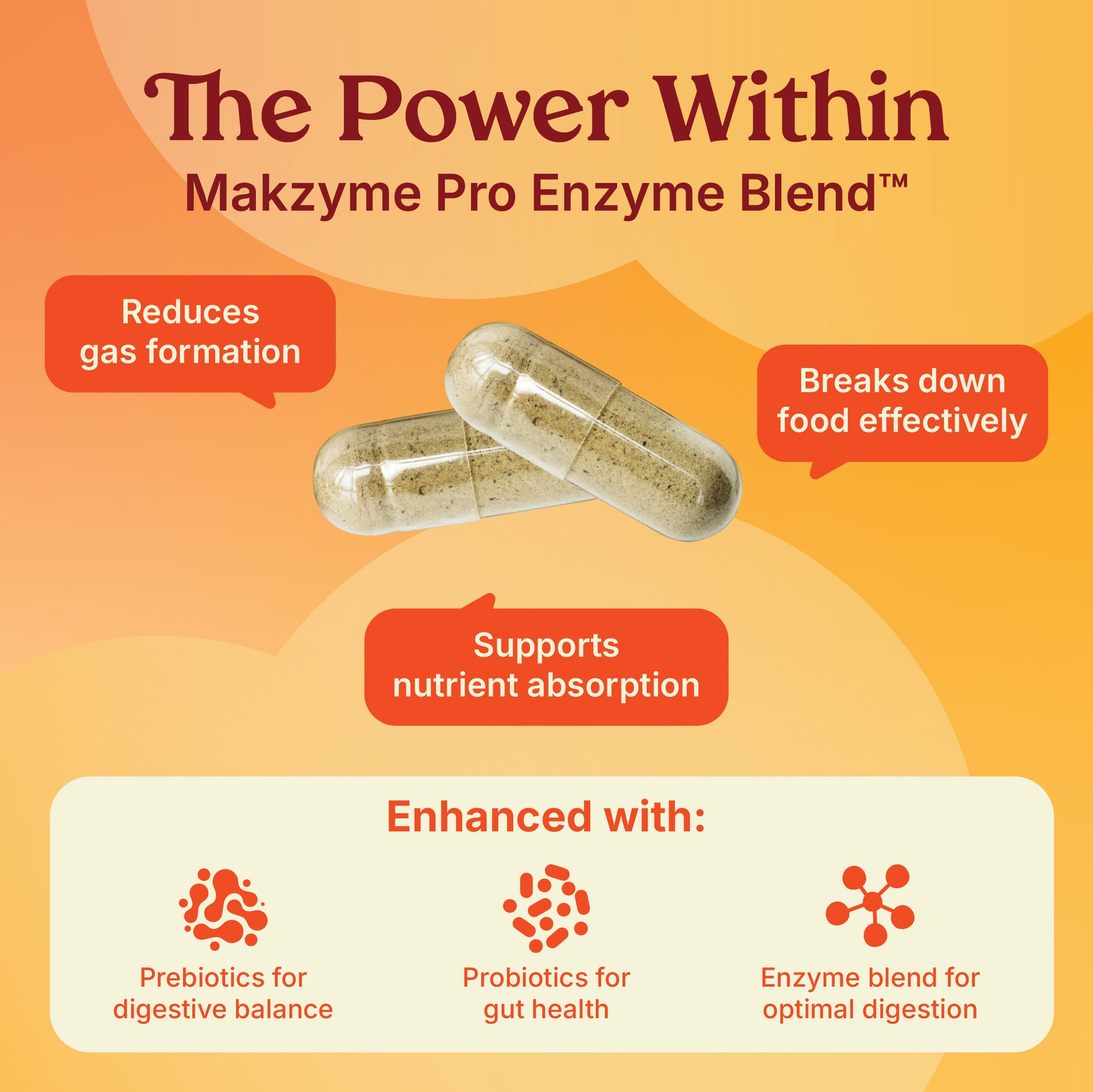 Debloat Me - Digestive Enzyme Capsules