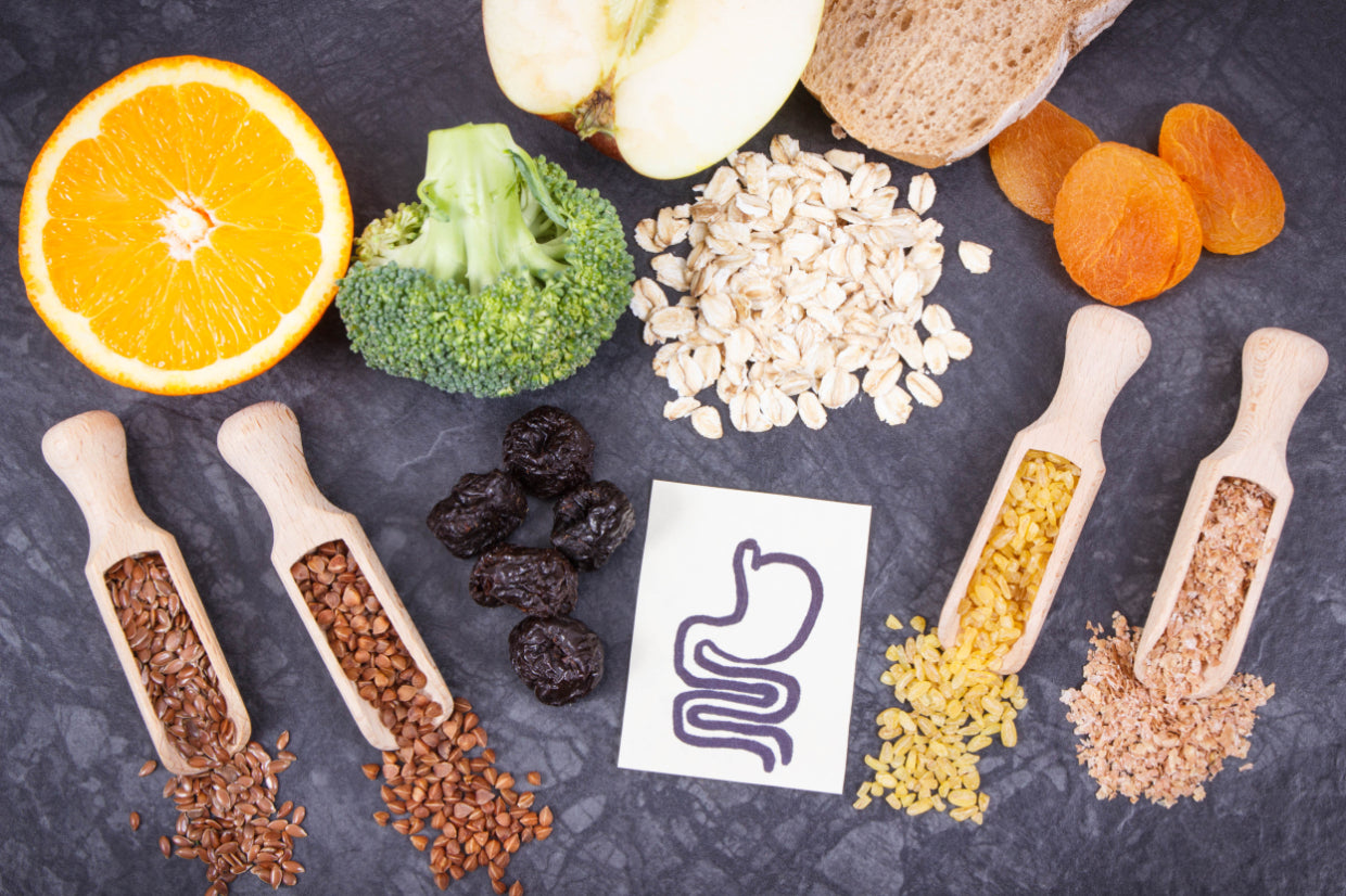 Why Do You Need Fiber? Why Is Fiber Important?